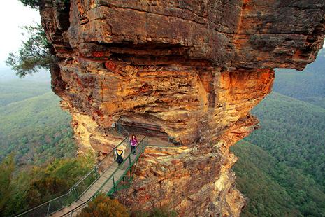 Blue Mountains Private Day Tour