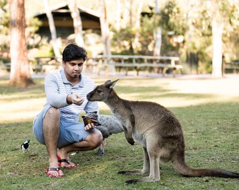 sydney private day tours, day trips from Sydney, Best Tours from Sydney, feeding kangaroo's