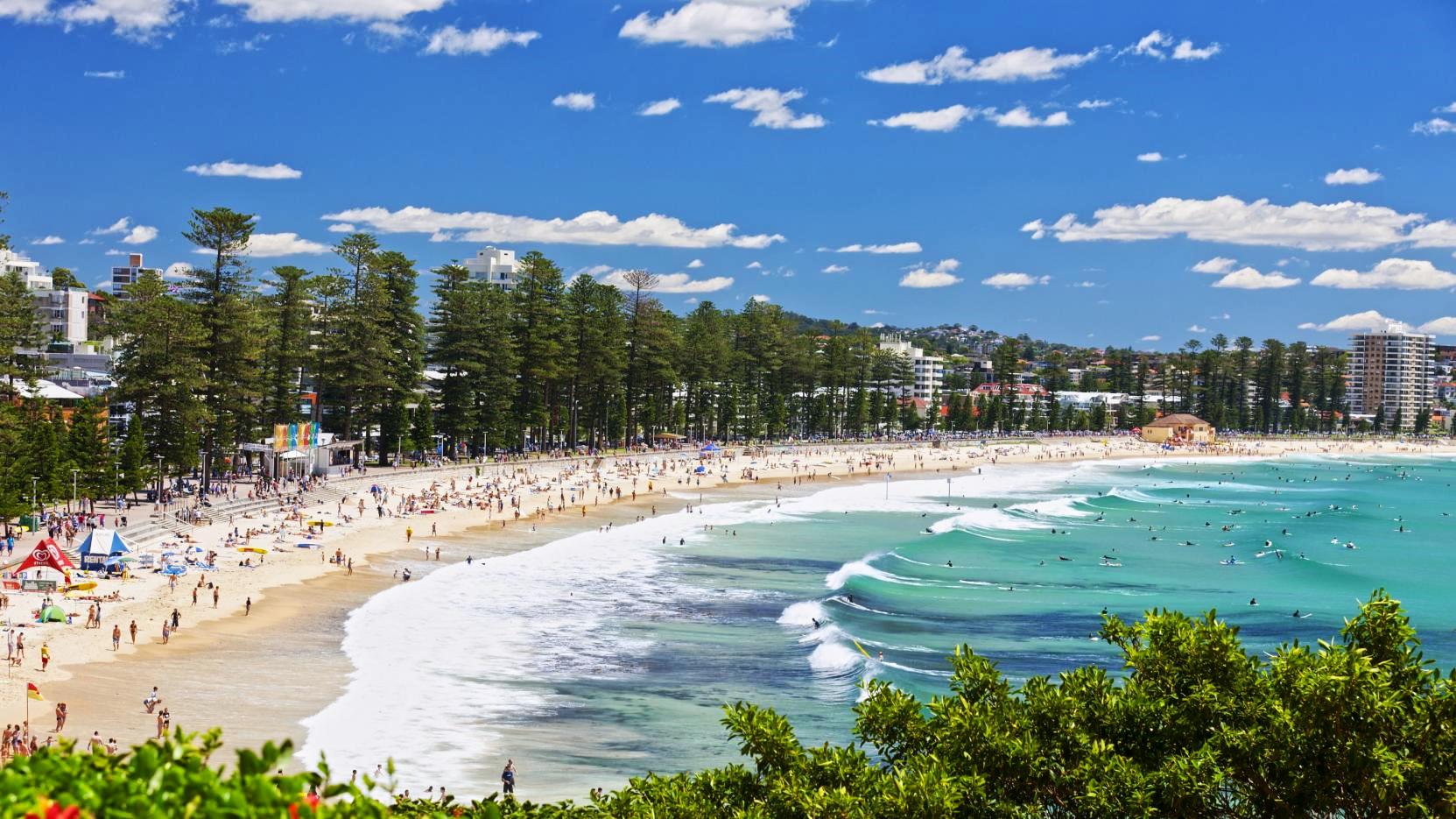 Manly Beach, Northern Beaches and Sydney Private Tour